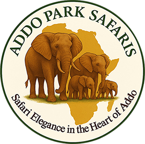 addo-park-safaris-logo-2025